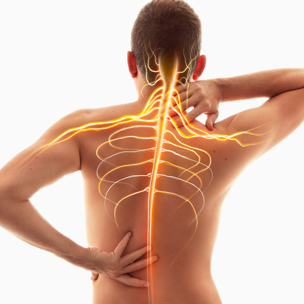 Chiropractic Care in Tampa Florida