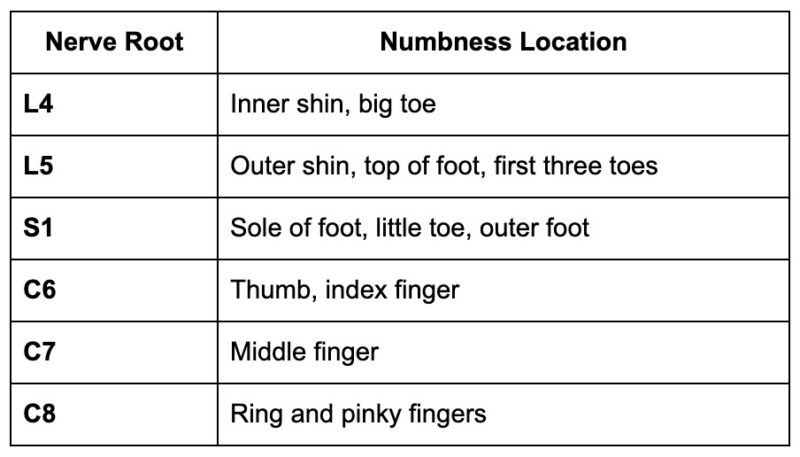 Dermatome numbness patterns